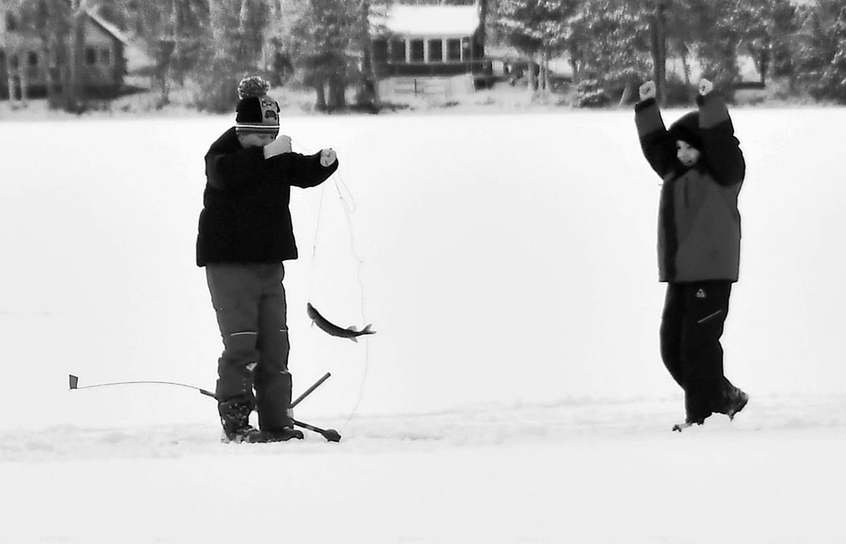 PULLING A PICKEREL