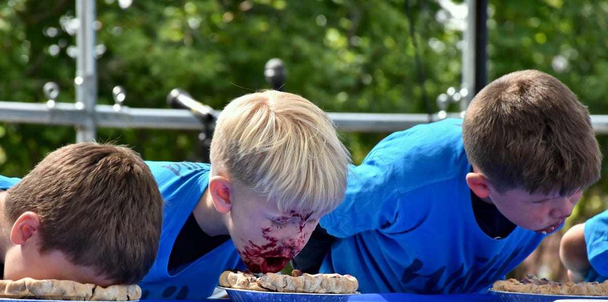 WHAT WOULD A WILD BLUEBERRY FESTIVAL