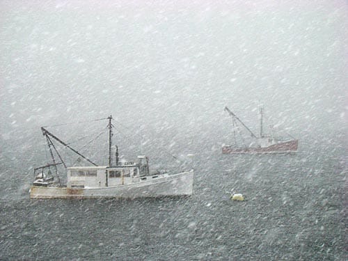 MARCH CAME IN LIKE A LION, and weathering another winter storm on Johnson's Bay in Lubec is the scallop dragger Dorothy Mitchell. (Chessie Johnson photo, copyright 2008)