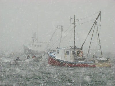 THE SPIRIT OF THE SEA. It's all in a day's work for local fishermen on Johnson's Bay off Lubec.(Chessie Crowe Gartmayer photo)