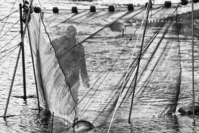 THROUGH THE VEIL OF A FISHING NET, Chris Altvater of Sipayik prepares for catching elvers on the next incoming tide on the Pennamaquan River. The opening of the season was delayed because of