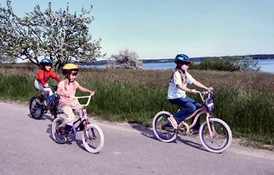 SPREAD THE NEWS! The Quoddy Tides Summer Guide is now out! Use our free guide to discover a different kind of summer in Downeast Maine and the Fundy Isles. You can find it at tourist informa