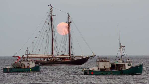 A PINK FULL MOON rises as a perfect backdrop to the Bluenose II in North Head harbour, Grand Manan, on August 2. The iconic Canadian schooner has been on a sail-past tour of New Brunswick an