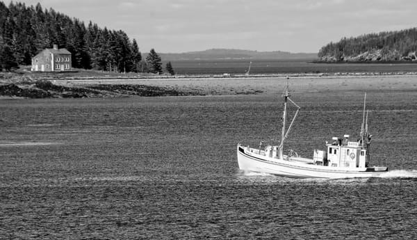 A SARDINE CARRIER passes by the saltbox house in Indian Island, a reminder of the days when the herring boats with classic lines were seen throughout the bay. (Edward French photo)