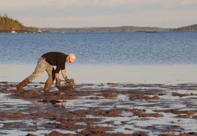 Subscribe to Quoddy TidesRates:$31.65 a year in Washington County, Maine (tax included) $36.93 a year in Maine, but outside of Washington (tax included) $35.00 a year in Canadian funds Singl