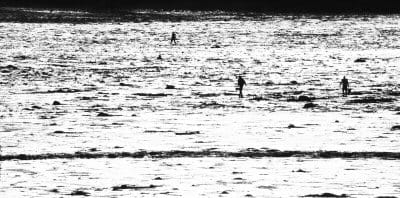 WORKING THE FLATS, clam diggers are silhouetted as the sun goes down over Carrying Place Cove in Eastport. (Edward French photo)