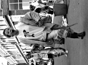 Image from index7-12-08.html