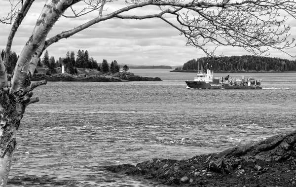 HEADING UP WESTERN PASSAGE by Deer Island Point is the KC Commander, one of Cooke Aquaculture's wellboats used for sea lice treatments at its salmon farms. (Edward French photo)
