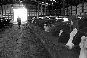 Image from index3-27-09.html