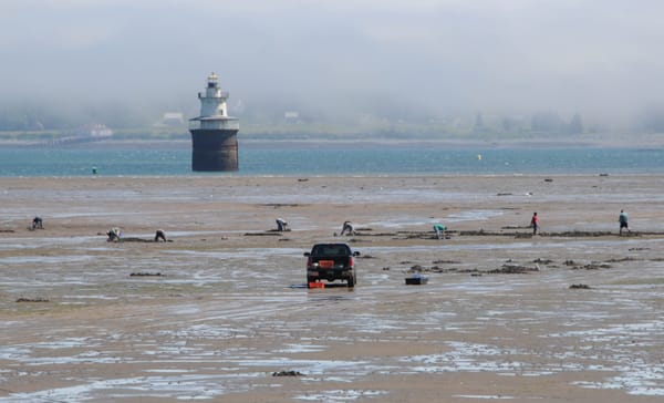 WORKING THE FLATS were a large number of clamdiggers near the Sparkplug lighthouse in the Lubec Channel on July 2, as a fog bank rolls in over West Quoddy Head. The Mowry Beach flats opened 