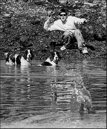 NO, YOU GO FETCH! That thought seems to be expressed on the faces of two springer spaniels, Charlie and Digby, who were playing on the shore of the inner basin of the Eastport breakwater wit