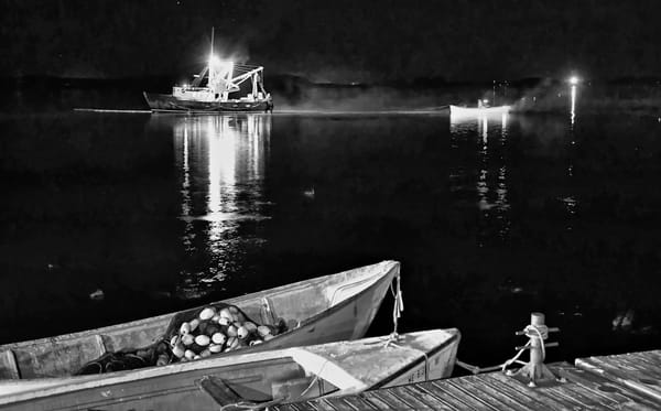 SEINING FOR HERRING off the Eastport breakwater on the night of August 17 is the crew of the Jenny Rose, a purse seiner owned by Earl Small. (Don Dunbar photo)