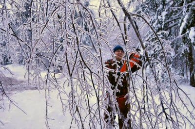 CLEARING A PATH through the ice-covered tree limbs on Cook's Drive in Perry is Bill Love. The ice storm that began on December 21 caused many homes in Washington and Charlotte counties to lo