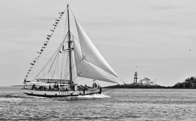 SEARCHING for whales on July 21 was the St. Andrews-based schooner Jolly Breeze as it sailed past Head Harbour Lighthouse on Campobello. Large numbers of whales are being spotted in the Bay 