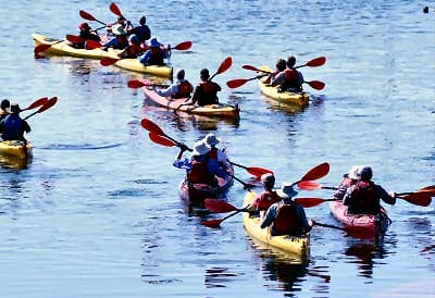 SEMI-SYNCHONIZED KAYAKING