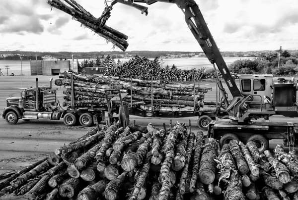 THE UNLOADING OF LOGS at the Port of Eastport's bulk storage yard for a test of the port authority's shipboard heat-treating phytosanitation equipment next spring will continue for the next 