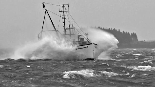 HEADING THROUGH ROUGH SEAS off Eastport on the first day of the scallop season is the Lady Samantha II, captained by Scott Murphy. Although winds were gusting over 50 knots, many draggers in