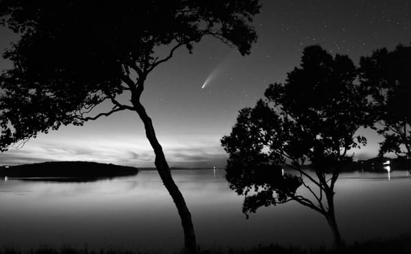 THE COMET NEOWISE appears between some birch trees at Dog Island, Eastport, on the night of July 15. (Don Dunbar photo)