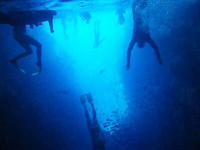 SNORKELING in New Zealand is Elizabeth Hull, daughter of Travis and Kathy Hull of Cooper, along with other divers. She is participating in an Eco Quest Education program.
