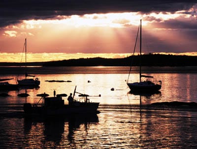 ROCKWEED is brought to shore at Deep Cove in Eastport as the sun goes down. Harvesting has been going on during the past few weeks in Cobscook Bay, with a mechanical harvester being used to 