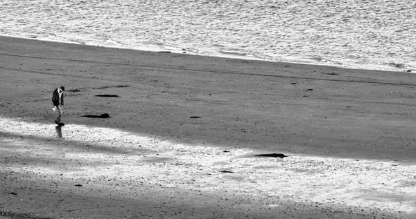 WALKING ALONG the sands of time at Prince's Cove, Eastport, on an April afternoon. (Edward French photo)
