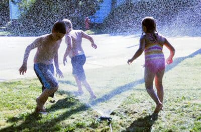 COOLING OFF on a hot summer's day are Bitty, Bubba and Scooter Olson of Eastport. (Edward French photo)