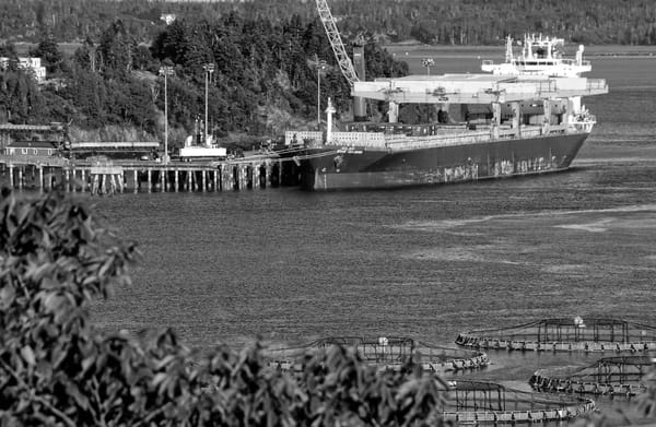 THE STAR ISFJORD loads wood pulp at the Estes Head terminal in Eastport on July 19. (Edward French photo)