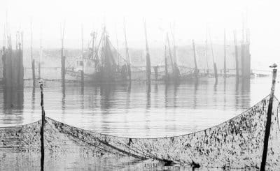 SEINING A WEIR ON A FOGGY DAY. The Seawall Weir at Dark Harbour, Grand Manan, was being seined in late August, with the herring being sold for lobster bait. Owner Stacy Brown says the weir d