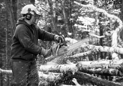 TOM POTTLE cuts wood on a 90-acre parcel he owns off the South Meadow Road in Perry. He sells to Woodland Pulp and Verso Paper, along with supplying his own business, Pembroke Lumber. Every 