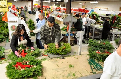 'TIS THE SEASON. Wreath-making for the holidays is in full swing throughout Washington and Charlotte counties, including at Whitney Wreath's plant in Whitneyville. Shown are Stacey Ingalls o