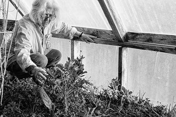 WARMING UP TO SPRING PLANTING AND HARVESTS