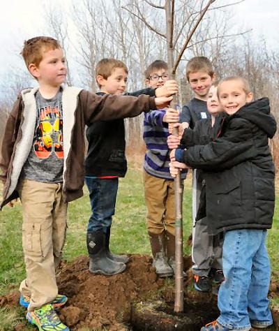 A TREE GROWS IN EASTPORT. Members of the new Cub Scout Pack #4631 in Eastport planted a disease-resistant Princeton elm tree on April 19 at the city-owned land at the dog park on Drummond Ro