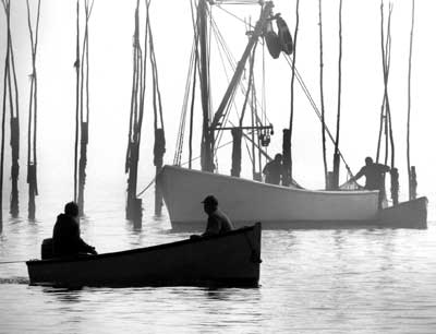 MENDING THEIR WEIR to harvest herring at Schooner Cove, Campobello, is the crew of the SHG. (Chessie Crowe Gartmayer photo)