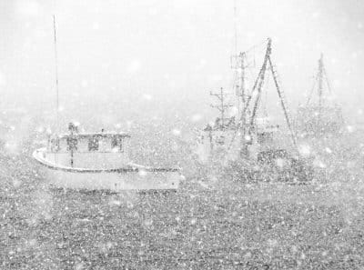 APRIL SNOW SHOWERS bring May flowers at the safe harbor of Globe Cove in Lubec. (Chessie Crowe Gartmayer photo)