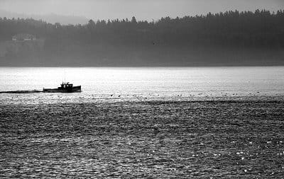 Morning light