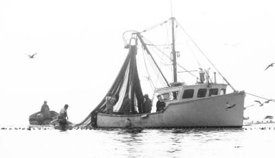 THE FOG WAS THICK one recent morning at Campobello's Herring Cove, as Marvin Mitchell's crew prepares to take out herring from a stop seine. (Chessie Crowe Gartmayer photo)