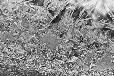 JACK FROST was a well-known sketch artist from Eastport, but this design on an Eastport window was illustrated by another Jack Frost who was recently passing through the island city. (Edward