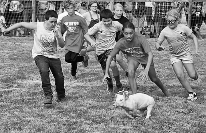 THE PIG SCRAMBLE